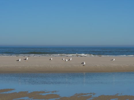 langeoog island in germany photo