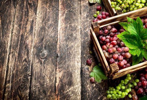 fresh harvest of grapes in boxes. photo