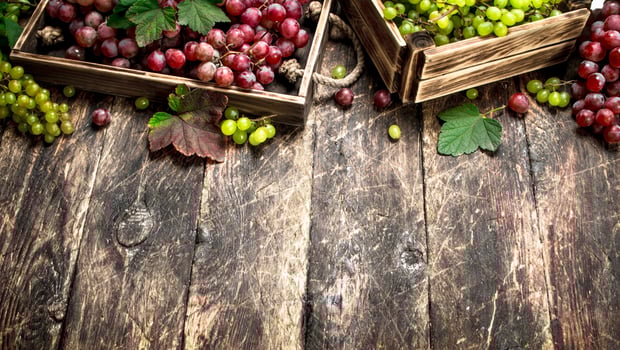 fresh harvest of grapes in boxes. photo
