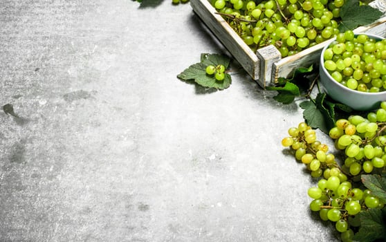 Green grapes in a box. photo