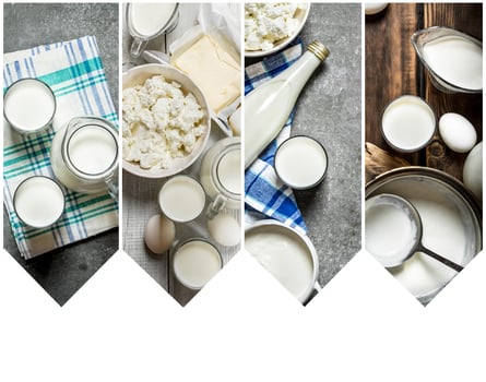 Food collage of dairy products . photo