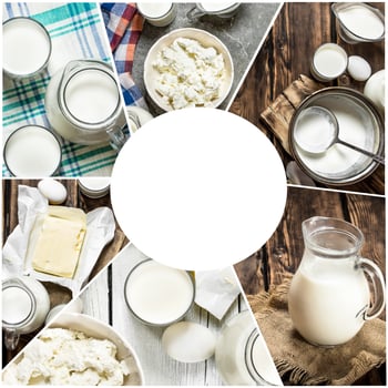 Food collage of dairy products . photo