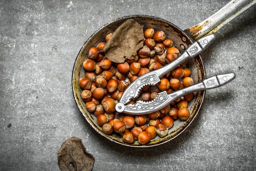 The hazelnuts in an old pan. photo