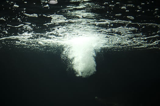 Western-style bubbles in the aquarium pool photo