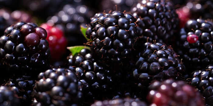 Vivid close-up of juicy blackberries. AI Generative photo
