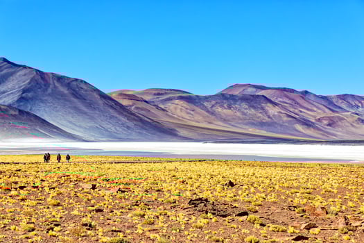 Piedras Rojas - Atacama Desert - San Pedro de Atacama. photo