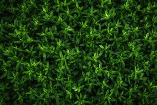 Green leaves background. Top view of fresh green leaves texture. Natural green leaves background, directly above shot of fresh green grass or lawn, AI Generated photo