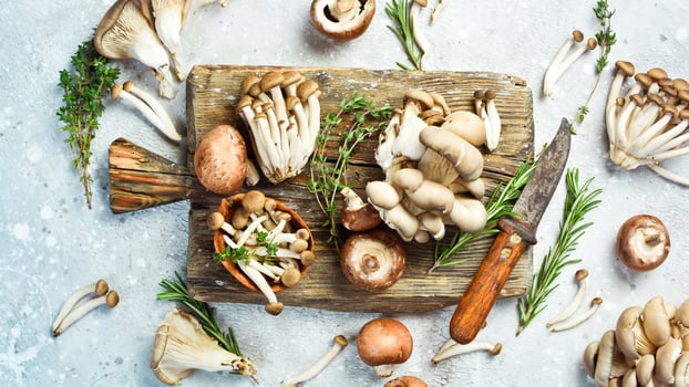 Organic Healthy Mushrooms Maitake Mushrooms, Brown beech mushroom, and champignons. On a stone background. photo