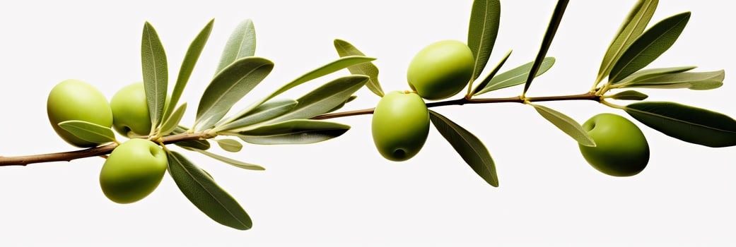 AI generated Olive tree branch, green olives and leaves on white background. AI Generated. photo