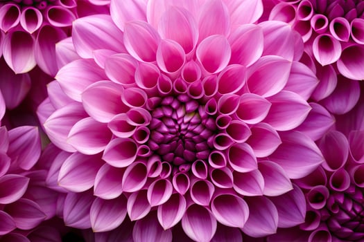 Dahlia flower background.  AI Generated. photo