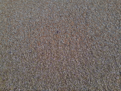 Full frame shot of Beautiful beach sand in the summer sun. photo