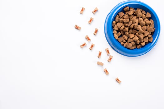 dry pet food in bowl on white background top view photo