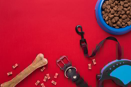Collar, blue bowl with feed, leash and delicacy for dogs. Isolated on red background photo