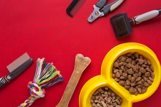 Pet accessories on red background. Top view photo