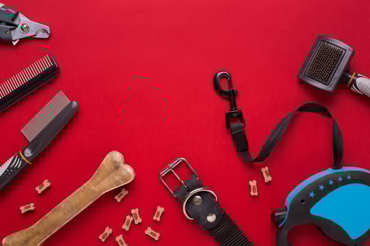 Collar, bowl with feed, leash, delicacy, combs and brushes for dogs. Isolated on red background photo