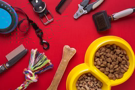 Pet accessories on red background. Top view photo