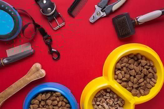Pet accessories on red background. Top view photo