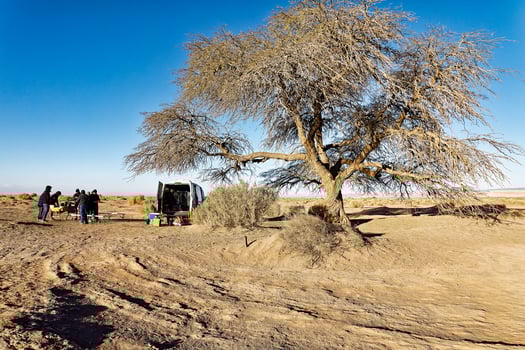 San Pedro de Atacama - El Loa - Antofagasta Region - Chile. Tourists enjoy breakfast at dawn in the Atacama Desert landscape. photo
