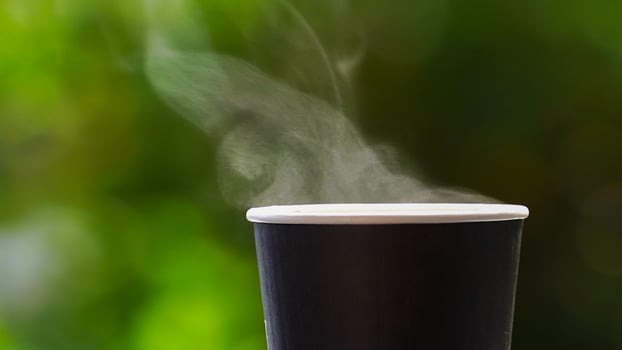coffee takeaway in a paper cup on top of the car roof green tree background at sunrise in the morning,  selective focus, soft focus. photo