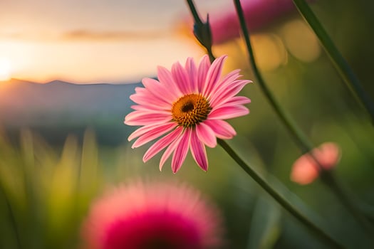 pink flower in the sun. AI-Generated photo