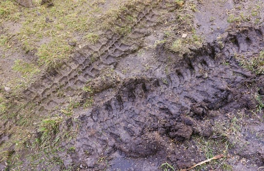 Wheel track on mud. Traces of a tractor or heavy off-road car on brown mud in wet meadow photo