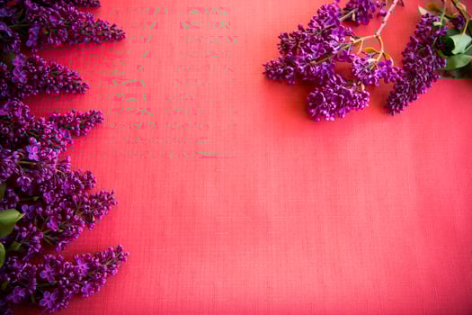 The beautiful lilac on a wooden background photo