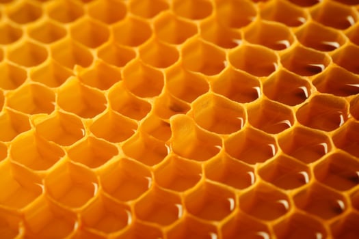 Honeycombs with sweet golden honey. Section of wax honeycomb. Generative AI photo