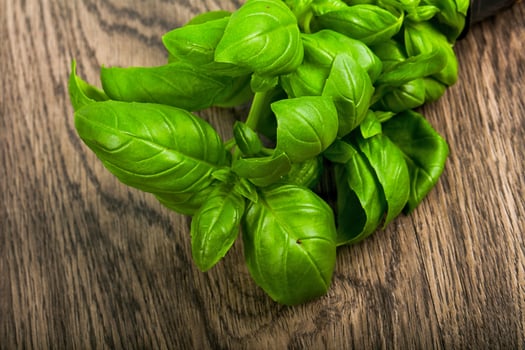 Basil over wooden background photo