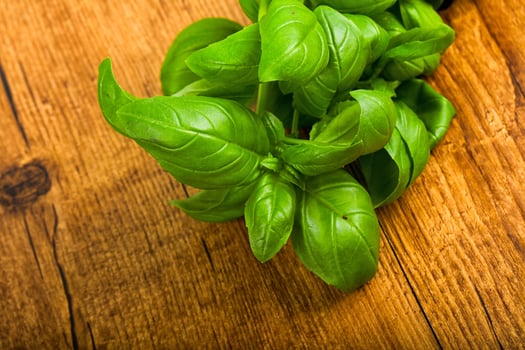 Basil over wooden background photo