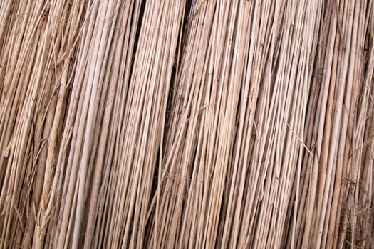 Rows and Rows of brown Jute Sticks Texture background of a field photo