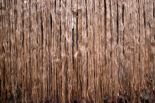 Golden Jute fiber pattern texture can be used as background wallpaper. This is the Called Golden Fiber in Bangladesh photo