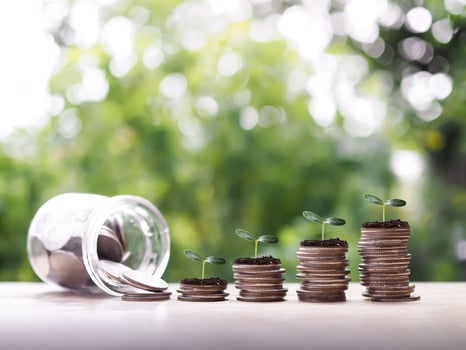 Plants growing up on stack of coins. The concept of saving money, Financial, Investment and Business growing. photo