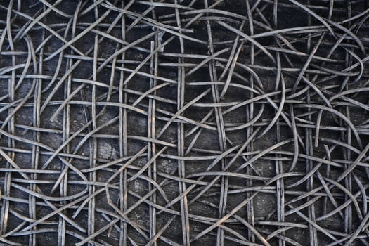 The background of the rattan tree decays over time. photo