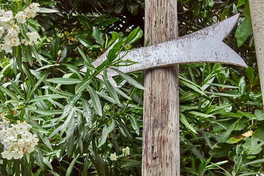 Wooden direction pointer in the park photo