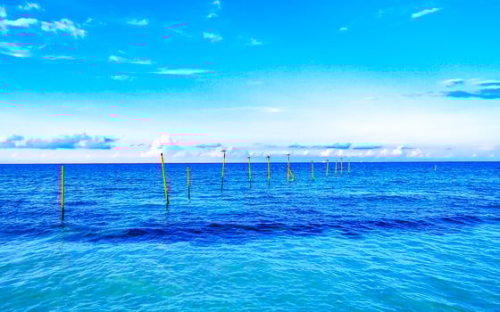 Tropical Caribbean beach clear turquoise water Playa del Carmen Mexico. photo