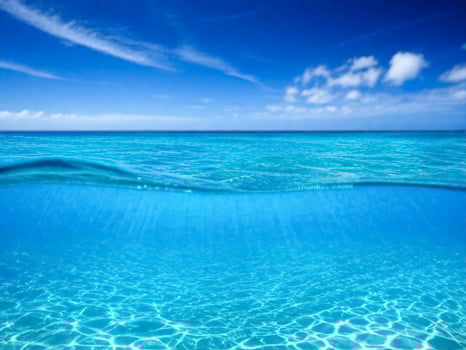 Clear Blue Ocean Endless View Generative Ai photo