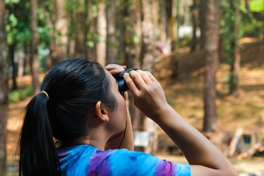 Young woman looking at birds in the forest through binoculars. Female tourist with tool watching the nature in forest. Healthy lifestyle and eco-tourism. photo