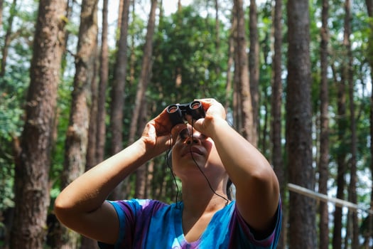 Young woman looking at birds in the forest through binoculars. Female tourist with tool watching the nature in forest. Healthy lifestyle and eco-tourism. photo
