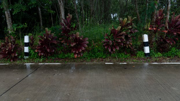 Horizontal view of concrete road with wet surface in Thailand. Environment of rainy time. and background of trees of garden and green grass with forest. under the sky. And two boundary pole. photo