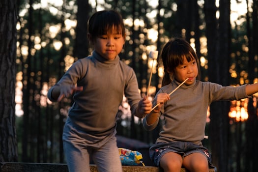 Cute little sisters roasting marshmallows on campfire. Children having fun at camp fire. Camping with children in winter pine forest. Happy family on vacation in nature. photo