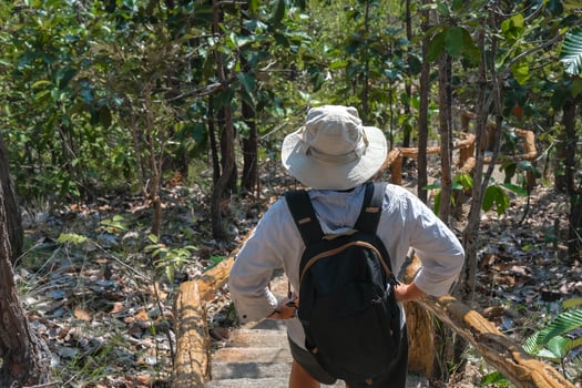 Rear view of backpack female geologist exploring nature trail in forest and analyzing plants. Female environmental scientist exploring plants in the rainforest. Environmental and ecology research. photo