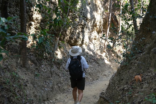 Female geologist with backpack exploring nature trail in forest and analyzing rock or gravel. Researchers collect samples of biological materials. Environmental and ecology research. photo