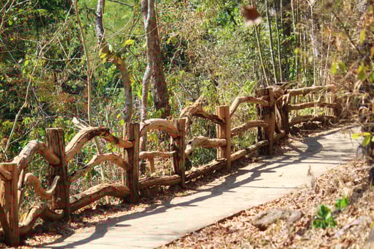 Wooden railing and natural footpath in dry tropical forest in summer photo