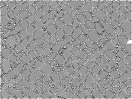 black and white of abstract background photo
