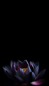 Black lotus flower in dark vertical banner. Generate Ai photo