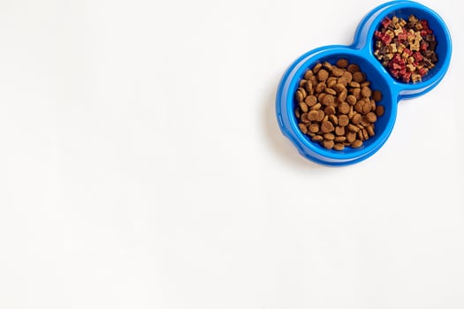 Dry pet food in bowl on white background top view photo