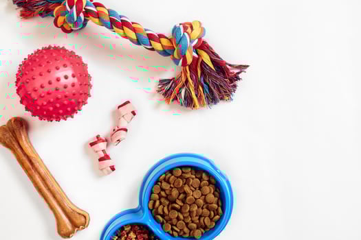 Dry pet food in bowl and toys for dogs on white background top view photo
