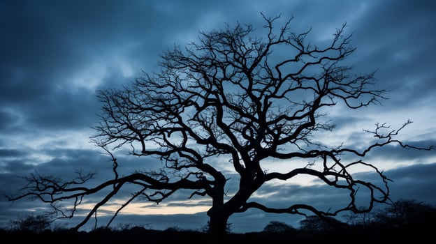 silhouette of tree against moody sky photo