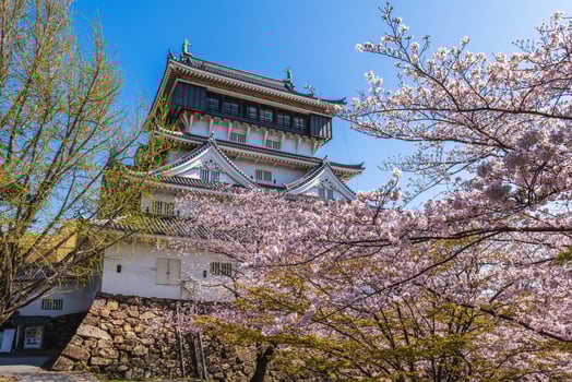 Main keep of Kokura Castle with Cherry blossom in Kitakyushu, Fukuoka, Japan photo