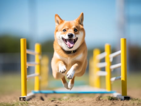 Spirited dog racing through an agility course AI Generative photo